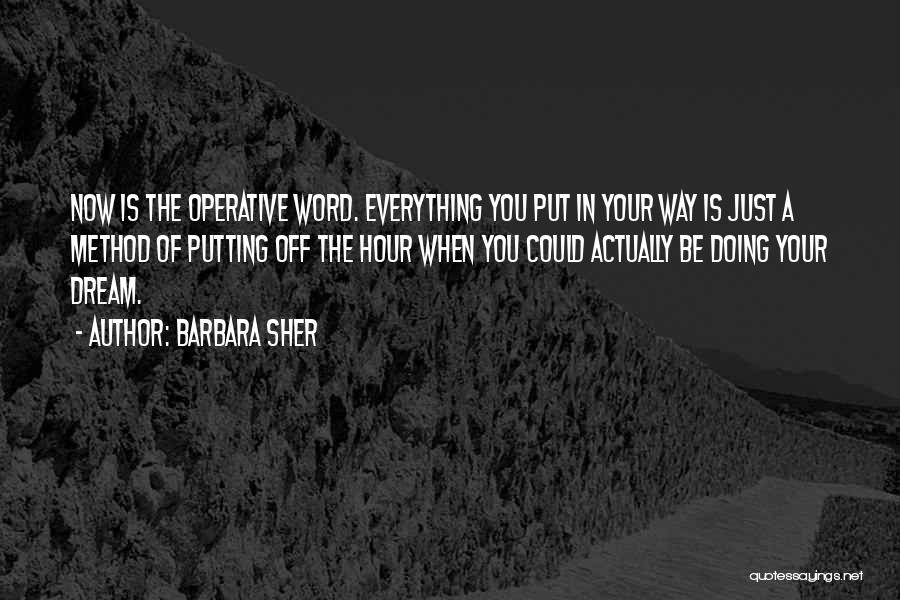 Barbara Sher Quotes: Now Is The Operative Word. Everything You Put In Your Way Is Just A Method Of Putting Off The Hour