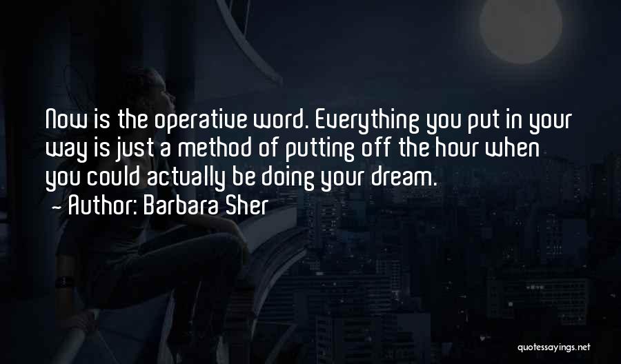 Barbara Sher Quotes: Now Is The Operative Word. Everything You Put In Your Way Is Just A Method Of Putting Off The Hour