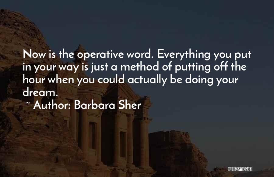 Barbara Sher Quotes: Now Is The Operative Word. Everything You Put In Your Way Is Just A Method Of Putting Off The Hour