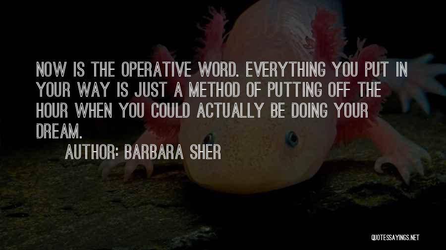 Barbara Sher Quotes: Now Is The Operative Word. Everything You Put In Your Way Is Just A Method Of Putting Off The Hour