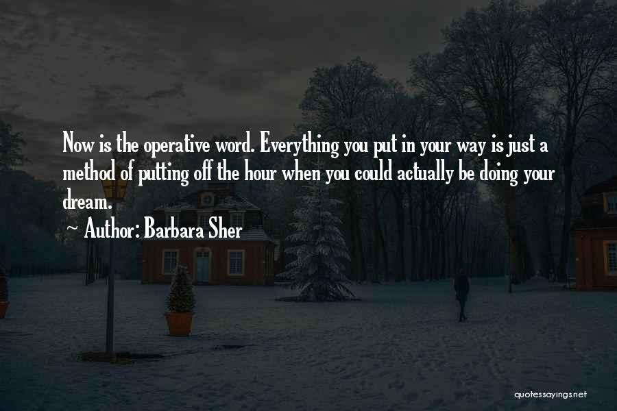 Barbara Sher Quotes: Now Is The Operative Word. Everything You Put In Your Way Is Just A Method Of Putting Off The Hour