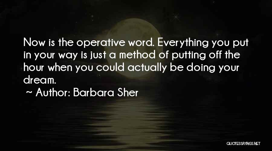 Barbara Sher Quotes: Now Is The Operative Word. Everything You Put In Your Way Is Just A Method Of Putting Off The Hour