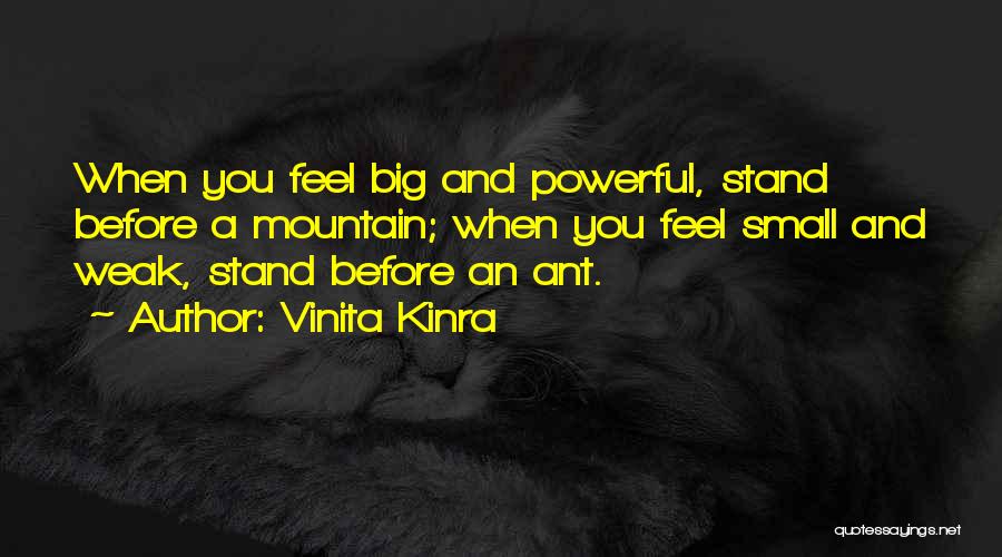 Vinita Kinra Quotes: When You Feel Big And Powerful, Stand Before A Mountain; When You Feel Small And Weak, Stand Before An Ant.