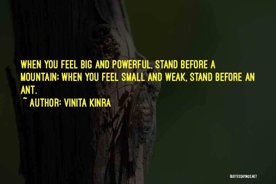 Vinita Kinra Quotes: When You Feel Big And Powerful, Stand Before A Mountain; When You Feel Small And Weak, Stand Before An Ant.