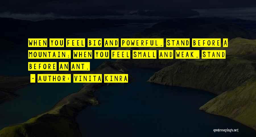 Vinita Kinra Quotes: When You Feel Big And Powerful, Stand Before A Mountain; When You Feel Small And Weak, Stand Before An Ant.