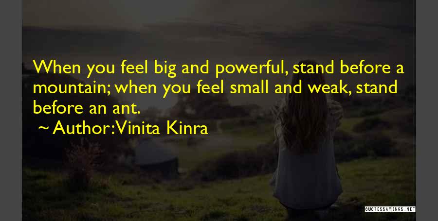 Vinita Kinra Quotes: When You Feel Big And Powerful, Stand Before A Mountain; When You Feel Small And Weak, Stand Before An Ant.