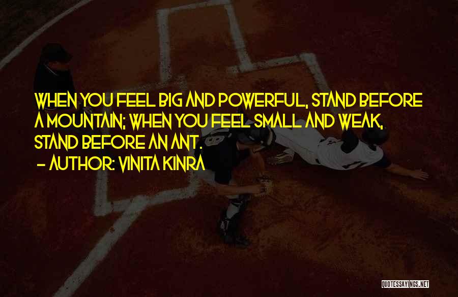 Vinita Kinra Quotes: When You Feel Big And Powerful, Stand Before A Mountain; When You Feel Small And Weak, Stand Before An Ant.