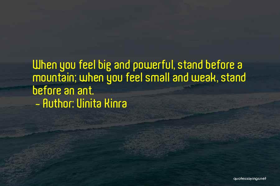 Vinita Kinra Quotes: When You Feel Big And Powerful, Stand Before A Mountain; When You Feel Small And Weak, Stand Before An Ant.