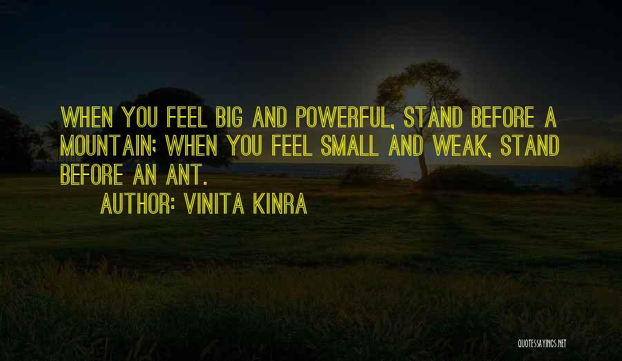 Vinita Kinra Quotes: When You Feel Big And Powerful, Stand Before A Mountain; When You Feel Small And Weak, Stand Before An Ant.