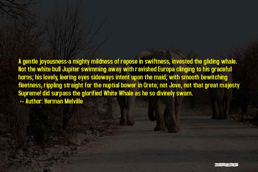 Herman Melville Quotes: A Gentle Joyousness-a Mighty Mildness Of Repose In Swiftness, Invested The Gliding Whale. Not The White Bull Jupiter Swimming Away