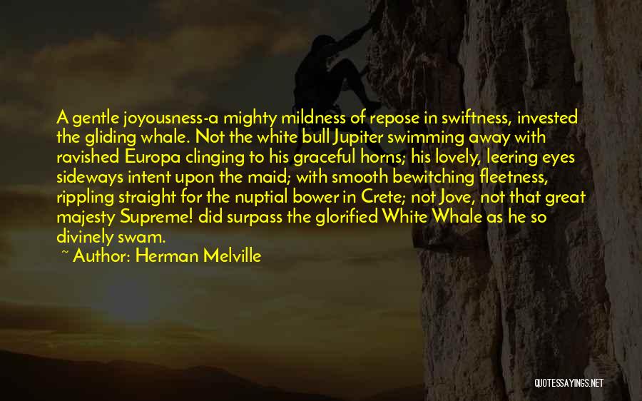 Herman Melville Quotes: A Gentle Joyousness-a Mighty Mildness Of Repose In Swiftness, Invested The Gliding Whale. Not The White Bull Jupiter Swimming Away