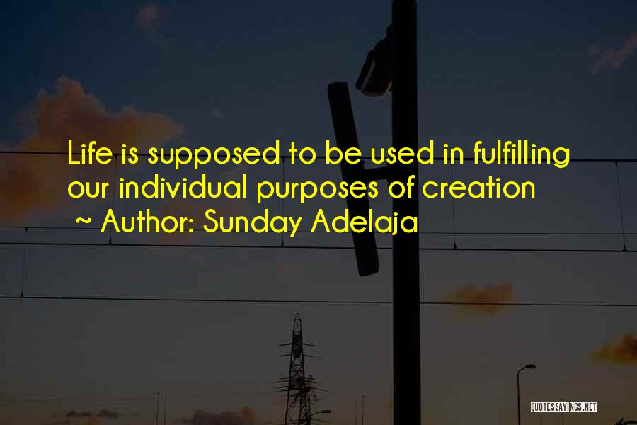 Sunday Adelaja Quotes: Life Is Supposed To Be Used In Fulfilling Our Individual Purposes Of Creation