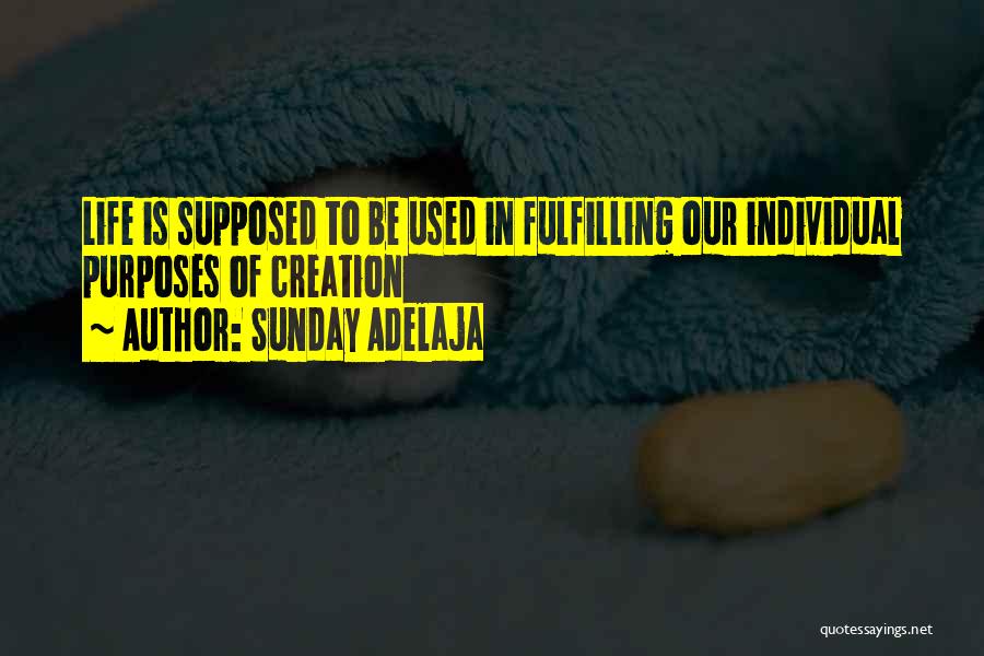 Sunday Adelaja Quotes: Life Is Supposed To Be Used In Fulfilling Our Individual Purposes Of Creation