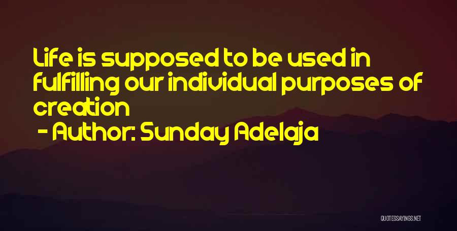 Sunday Adelaja Quotes: Life Is Supposed To Be Used In Fulfilling Our Individual Purposes Of Creation