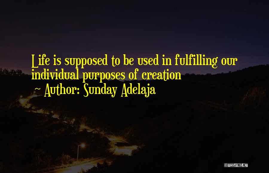 Sunday Adelaja Quotes: Life Is Supposed To Be Used In Fulfilling Our Individual Purposes Of Creation