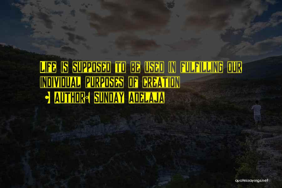 Sunday Adelaja Quotes: Life Is Supposed To Be Used In Fulfilling Our Individual Purposes Of Creation