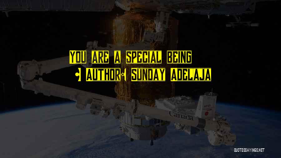 Sunday Adelaja Quotes: You Are A Special Being
