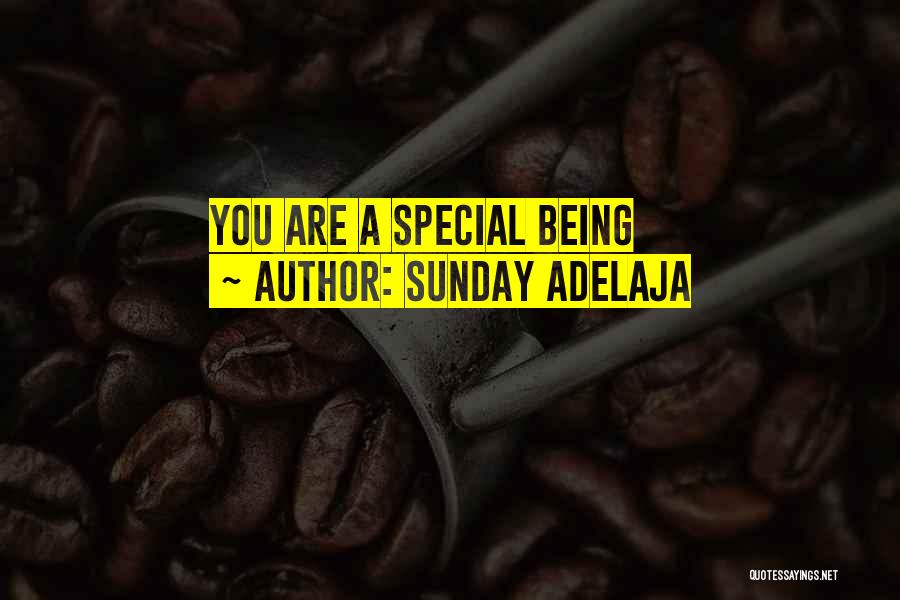 Sunday Adelaja Quotes: You Are A Special Being