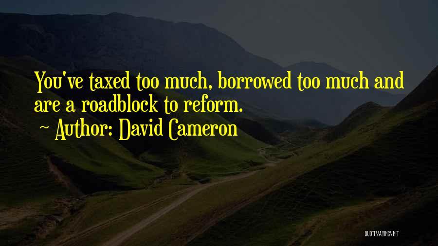 David Cameron Quotes: You've Taxed Too Much, Borrowed Too Much And Are A Roadblock To Reform.