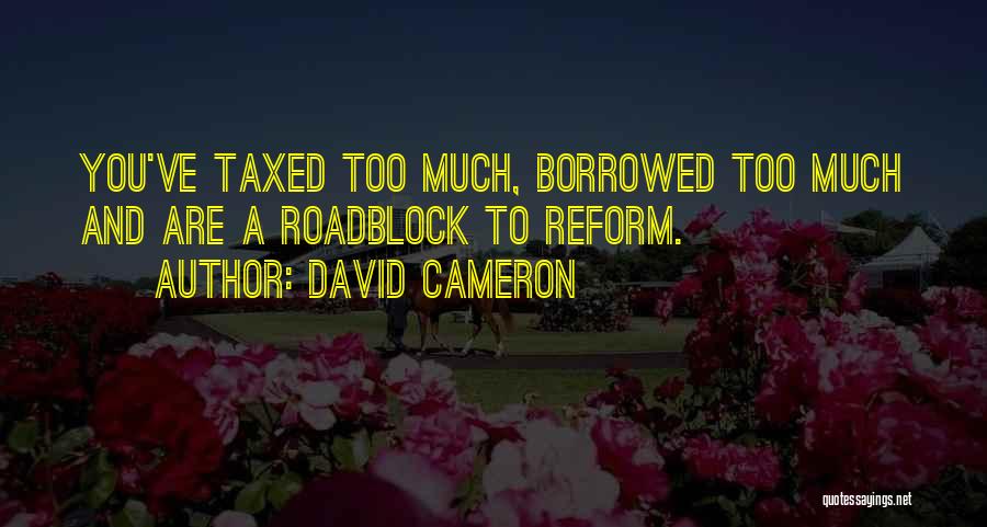 David Cameron Quotes: You've Taxed Too Much, Borrowed Too Much And Are A Roadblock To Reform.