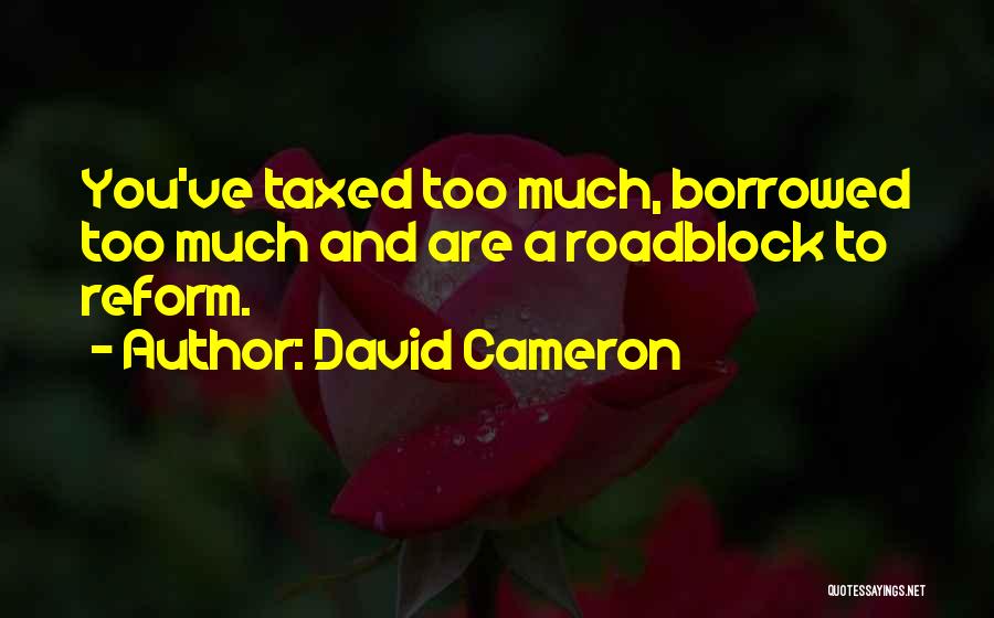 David Cameron Quotes: You've Taxed Too Much, Borrowed Too Much And Are A Roadblock To Reform.