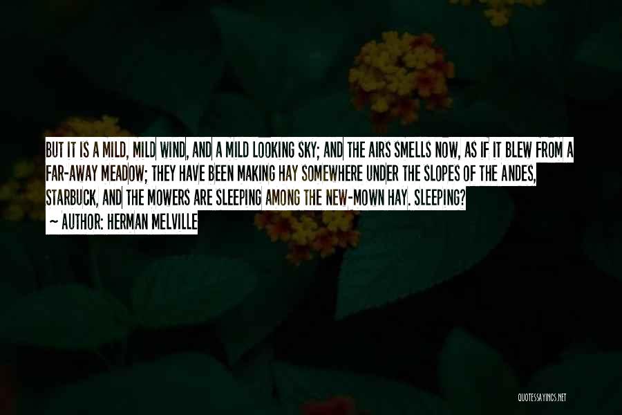 Herman Melville Quotes: But It Is A Mild, Mild Wind, And A Mild Looking Sky; And The Airs Smells Now, As If It