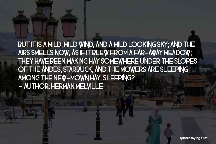 Herman Melville Quotes: But It Is A Mild, Mild Wind, And A Mild Looking Sky; And The Airs Smells Now, As If It
