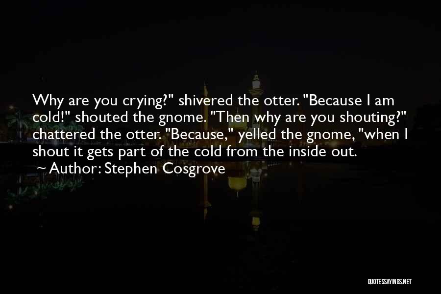 Stephen Cosgrove Quotes: Why Are You Crying? Shivered The Otter. Because I Am Cold! Shouted The Gnome. Then Why Are You Shouting? Chattered