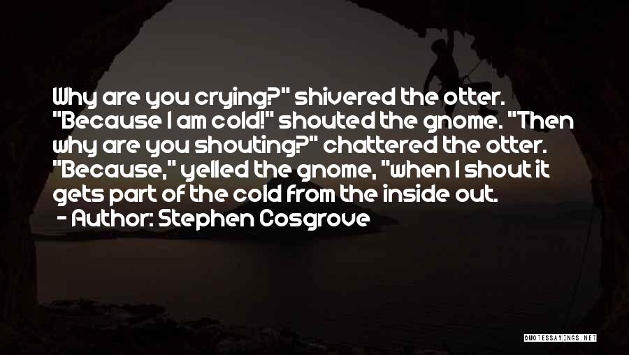 Stephen Cosgrove Quotes: Why Are You Crying? Shivered The Otter. Because I Am Cold! Shouted The Gnome. Then Why Are You Shouting? Chattered