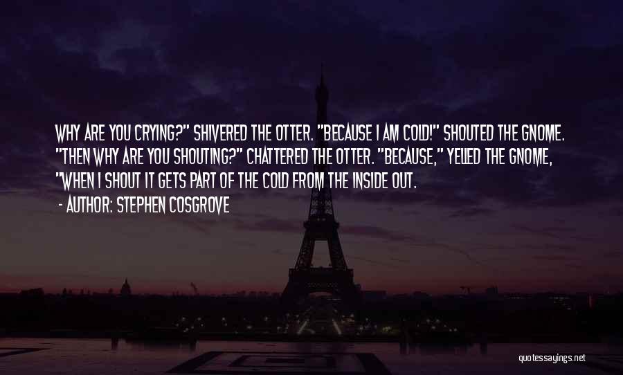 Stephen Cosgrove Quotes: Why Are You Crying? Shivered The Otter. Because I Am Cold! Shouted The Gnome. Then Why Are You Shouting? Chattered