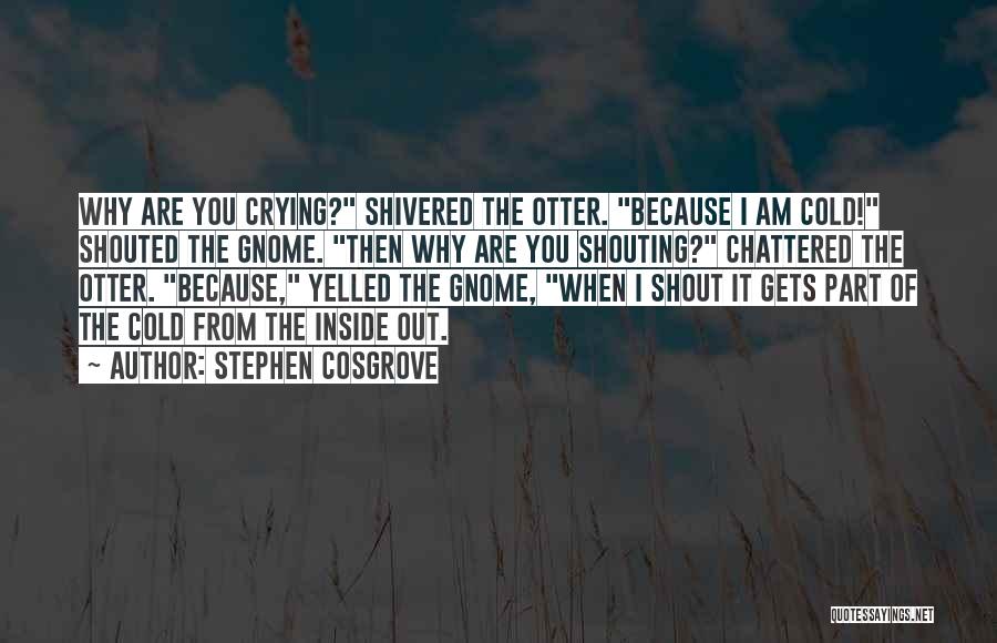 Stephen Cosgrove Quotes: Why Are You Crying? Shivered The Otter. Because I Am Cold! Shouted The Gnome. Then Why Are You Shouting? Chattered