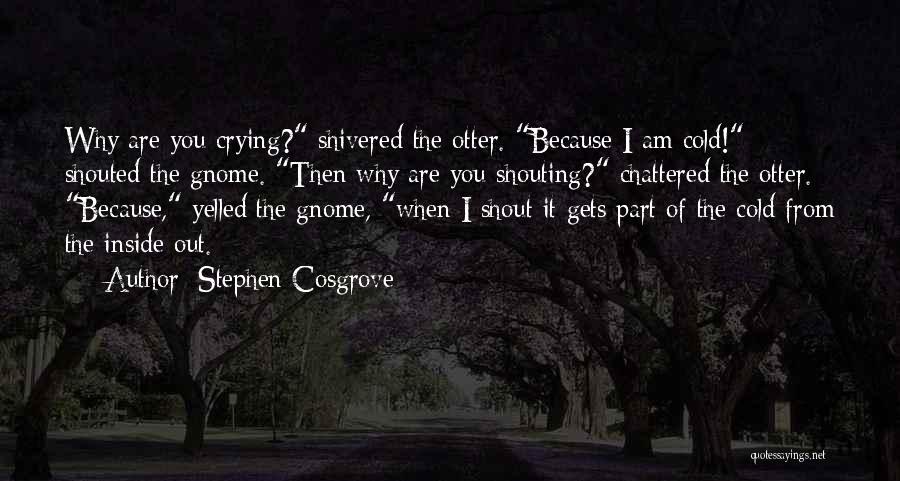 Stephen Cosgrove Quotes: Why Are You Crying? Shivered The Otter. Because I Am Cold! Shouted The Gnome. Then Why Are You Shouting? Chattered