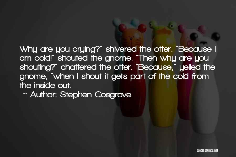 Stephen Cosgrove Quotes: Why Are You Crying? Shivered The Otter. Because I Am Cold! Shouted The Gnome. Then Why Are You Shouting? Chattered