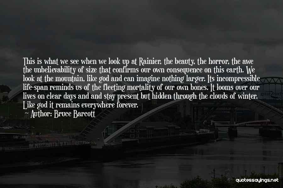 Bruce Barcott Quotes: This Is What We See When We Look Up At Rainier, The Beauty, The Horror, The Awe The Unbelievability Of