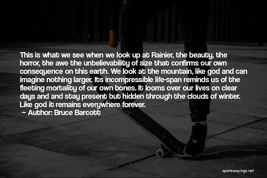 Bruce Barcott Quotes: This Is What We See When We Look Up At Rainier, The Beauty, The Horror, The Awe The Unbelievability Of