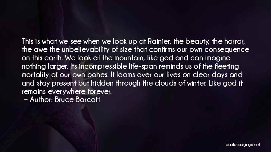 Bruce Barcott Quotes: This Is What We See When We Look Up At Rainier, The Beauty, The Horror, The Awe The Unbelievability Of