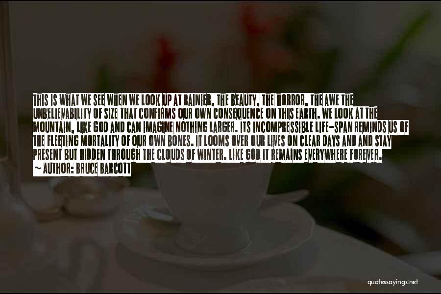 Bruce Barcott Quotes: This Is What We See When We Look Up At Rainier, The Beauty, The Horror, The Awe The Unbelievability Of