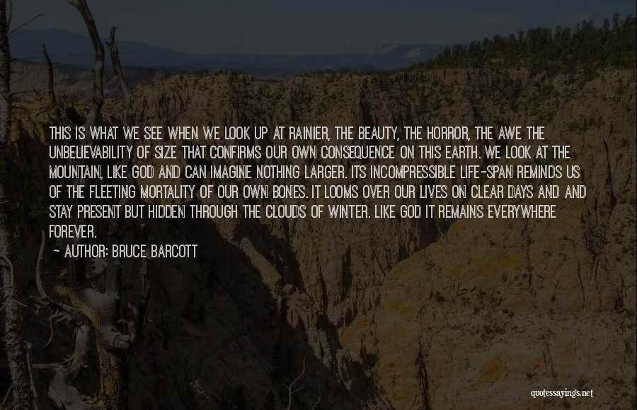 Bruce Barcott Quotes: This Is What We See When We Look Up At Rainier, The Beauty, The Horror, The Awe The Unbelievability Of