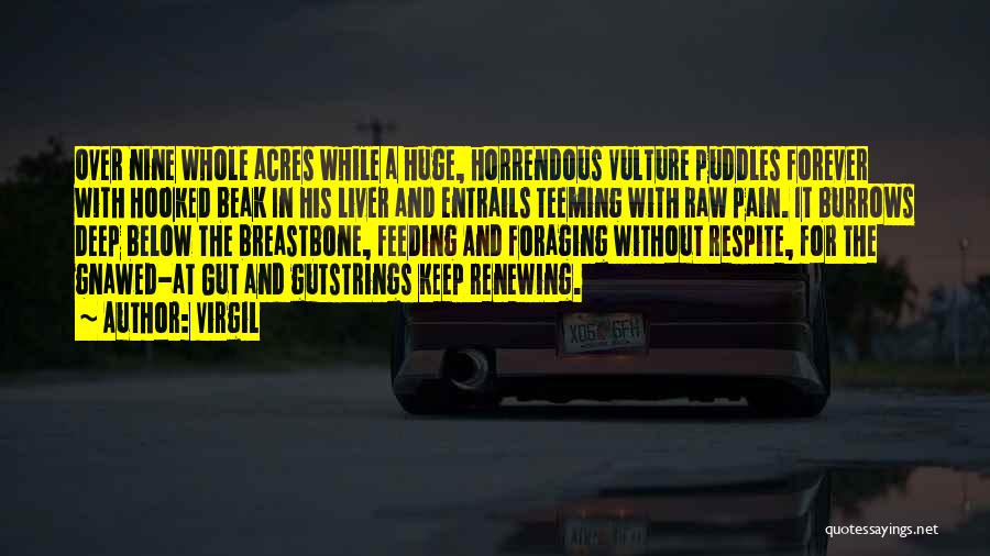 Virgil Quotes: Over Nine Whole Acres While A Huge, Horrendous Vulture Puddles Forever With Hooked Beak In His Liver And Entrails Teeming