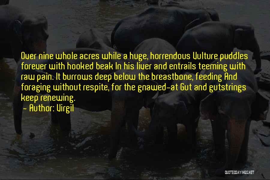 Virgil Quotes: Over Nine Whole Acres While A Huge, Horrendous Vulture Puddles Forever With Hooked Beak In His Liver And Entrails Teeming