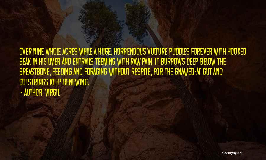 Virgil Quotes: Over Nine Whole Acres While A Huge, Horrendous Vulture Puddles Forever With Hooked Beak In His Liver And Entrails Teeming