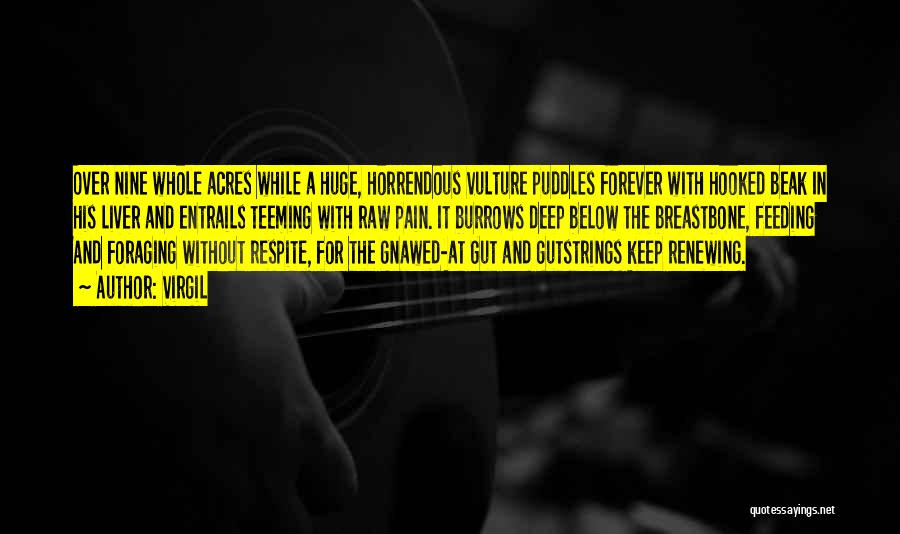 Virgil Quotes: Over Nine Whole Acres While A Huge, Horrendous Vulture Puddles Forever With Hooked Beak In His Liver And Entrails Teeming