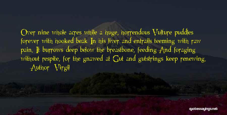 Virgil Quotes: Over Nine Whole Acres While A Huge, Horrendous Vulture Puddles Forever With Hooked Beak In His Liver And Entrails Teeming