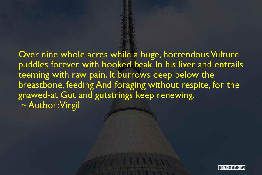 Virgil Quotes: Over Nine Whole Acres While A Huge, Horrendous Vulture Puddles Forever With Hooked Beak In His Liver And Entrails Teeming