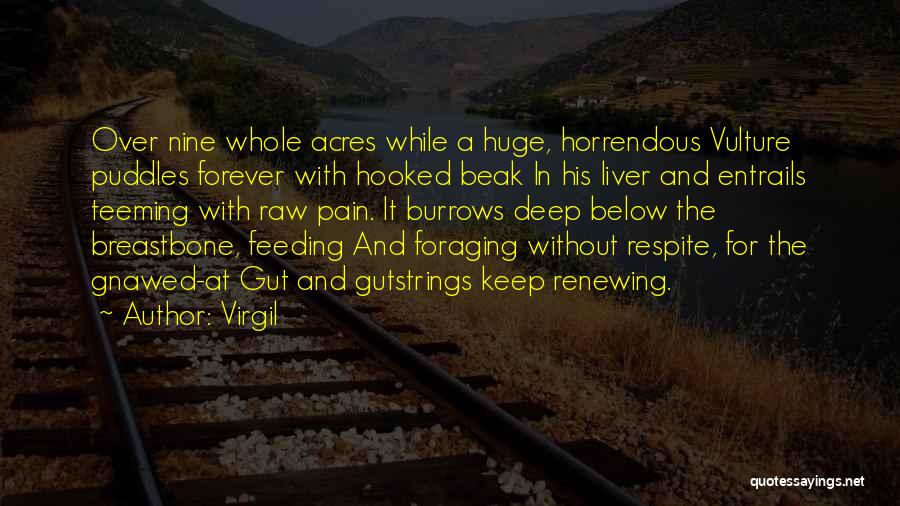 Virgil Quotes: Over Nine Whole Acres While A Huge, Horrendous Vulture Puddles Forever With Hooked Beak In His Liver And Entrails Teeming