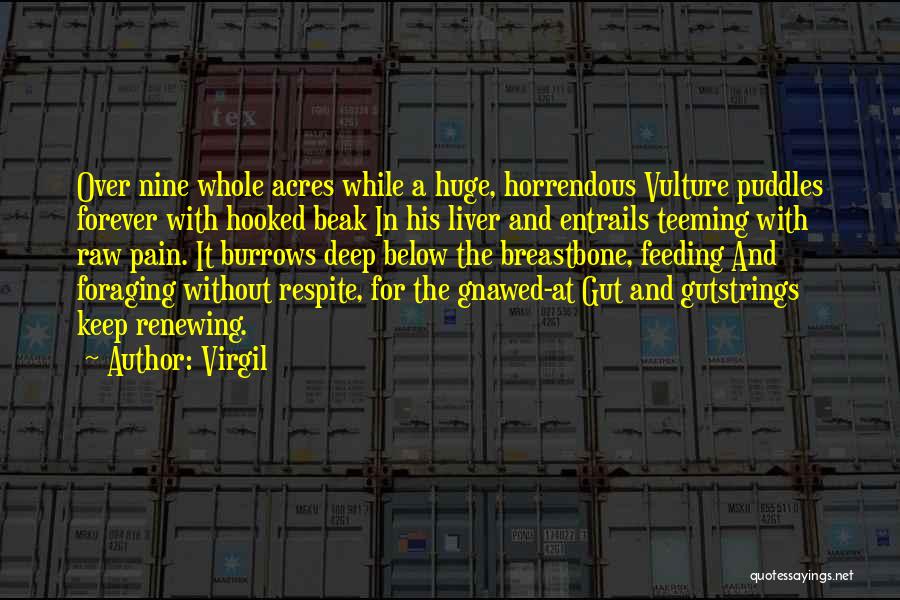 Virgil Quotes: Over Nine Whole Acres While A Huge, Horrendous Vulture Puddles Forever With Hooked Beak In His Liver And Entrails Teeming