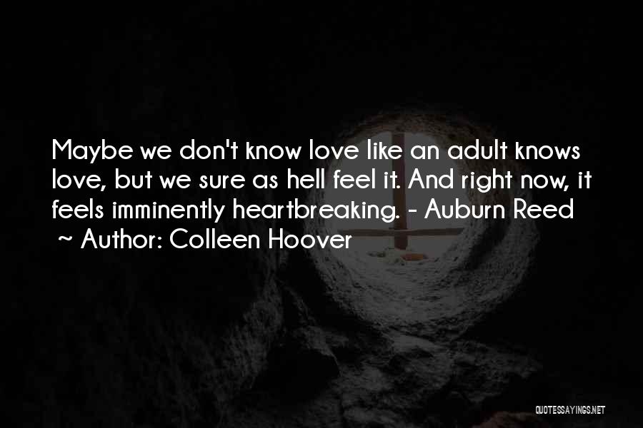 Colleen Hoover Quotes: Maybe We Don't Know Love Like An Adult Knows Love, But We Sure As Hell Feel It. And Right Now,