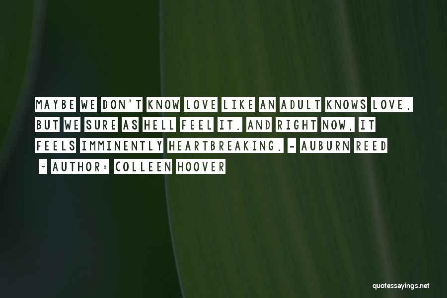 Colleen Hoover Quotes: Maybe We Don't Know Love Like An Adult Knows Love, But We Sure As Hell Feel It. And Right Now,