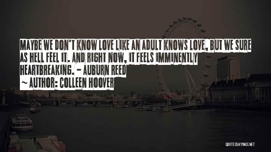 Colleen Hoover Quotes: Maybe We Don't Know Love Like An Adult Knows Love, But We Sure As Hell Feel It. And Right Now,