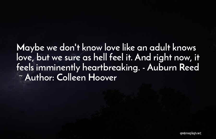 Colleen Hoover Quotes: Maybe We Don't Know Love Like An Adult Knows Love, But We Sure As Hell Feel It. And Right Now,